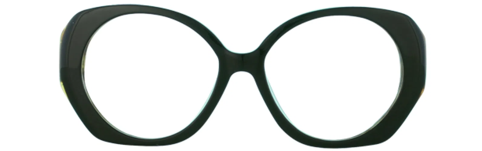 Leon Max LM6015 Eyeglasses - view 6